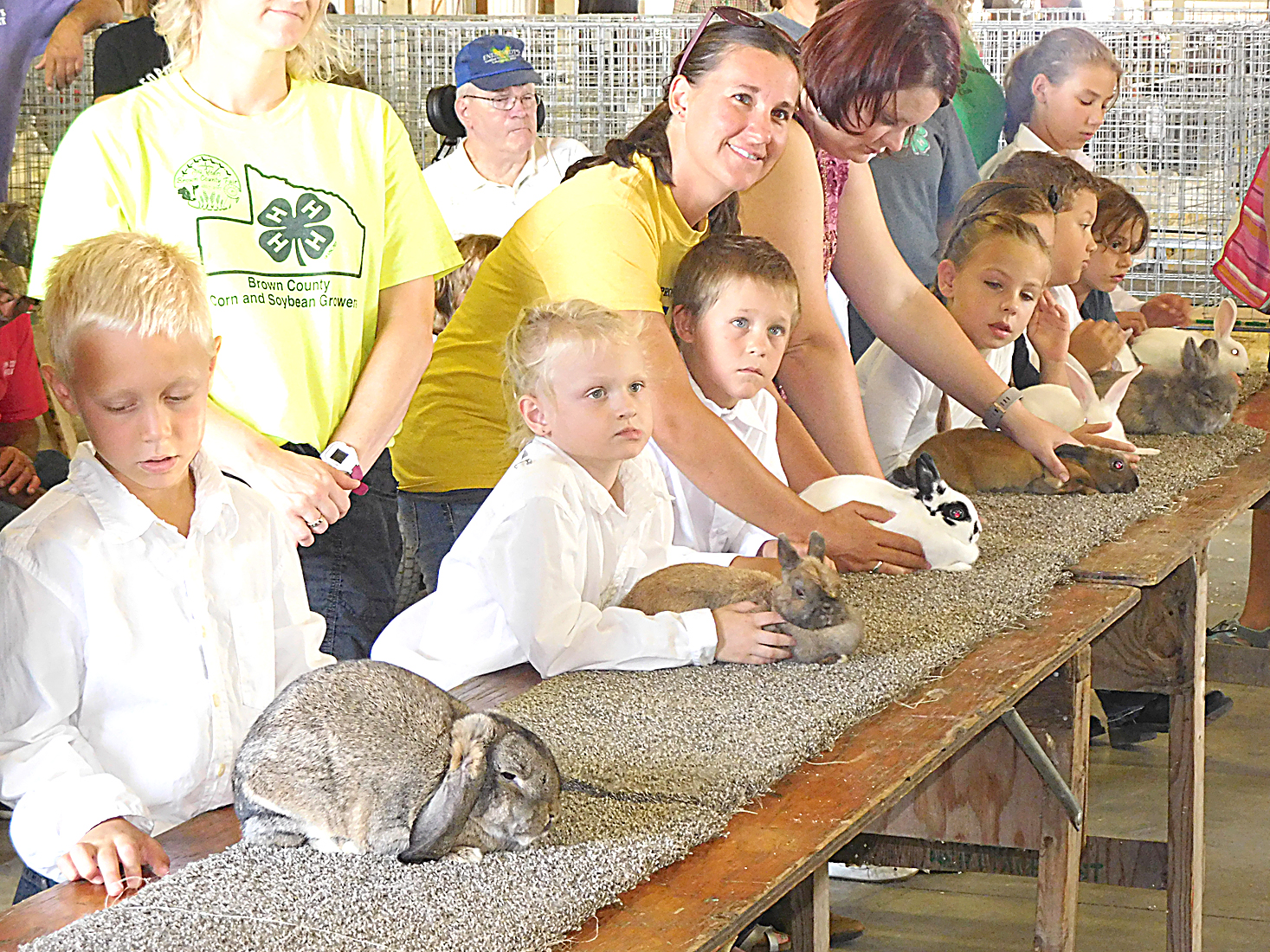 Rabbits give a hopping good show | News, Sports, Jobs - The Journal